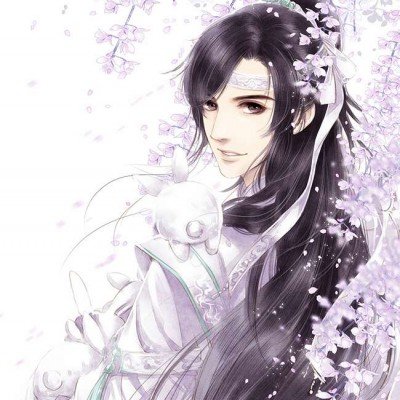 罗大美生前借贷案正执行